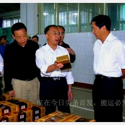 洛阳孙善武最新资讯更新