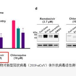 艾滋病研究获新进展，治疗突破及最新动态