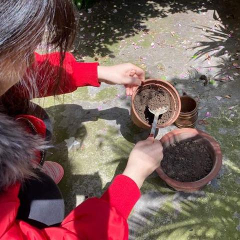 一点云播最新破解版全面解析