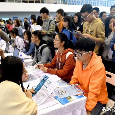 智联招聘网最新招聘信息全面解析