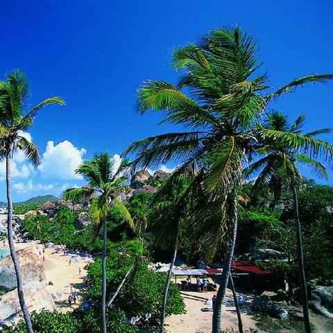 乐东九所新区最新动态，深度报道新消息