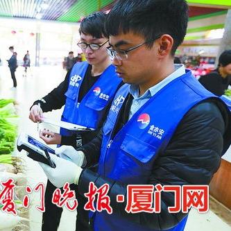 厦门人才网597最新招聘解析，职位信息深度解读