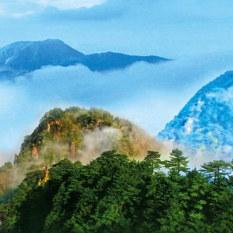 江西最新4A景区名单及旅游体验分享，共XX个景区