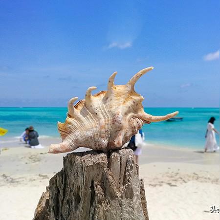 最新国内邮轮旅游价格大全