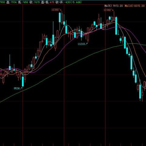 棕榈油期货行情分析，最新消息与趋势解读