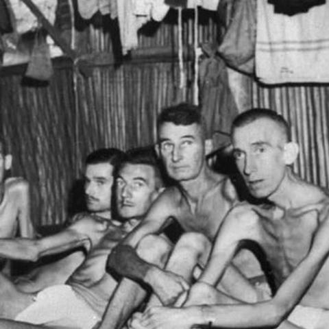 大营最新招工信息全面解析