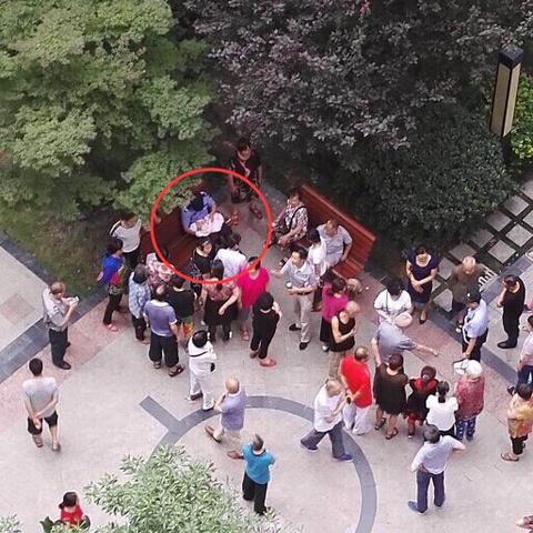 华阳最新动态揭秘，新动向与数据洞察