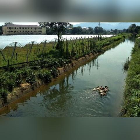 甘霖水库最新消息更新动态速递