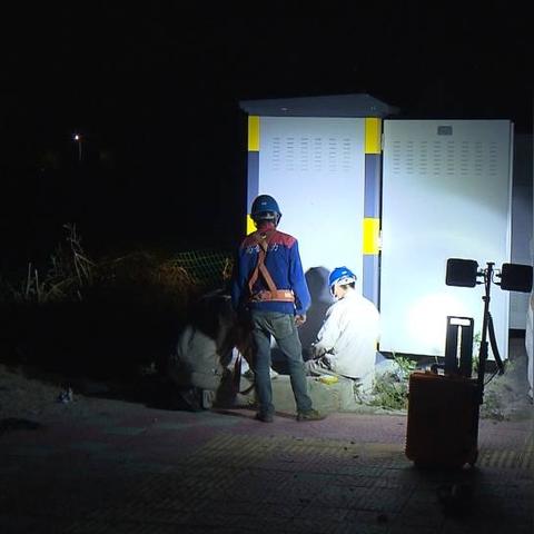 同安最新新闻报道更新速递