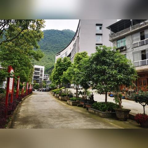 苗圃最新图片展示与产业深度分析