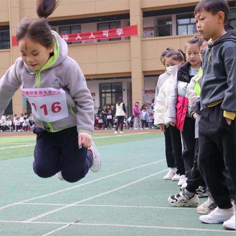 紫薇东进最新动态，引领城市新潮流