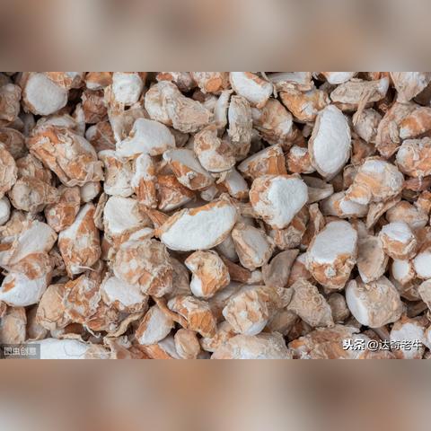 西药钓鱼新配方揭秘,科学钓鱼进阶指南