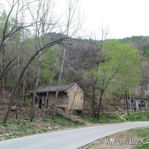 虫楼最新价格走势及分析