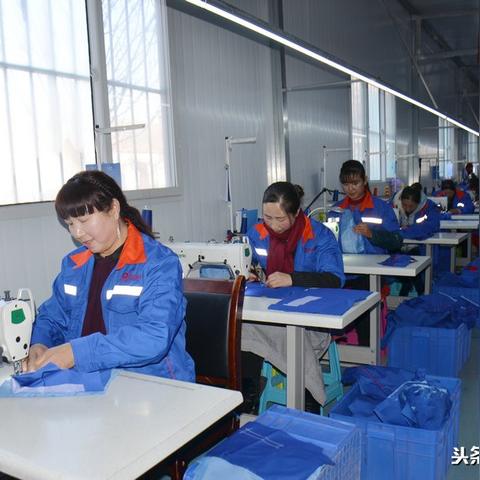 最新致富项目，探索办厂新模式，财富之路启程