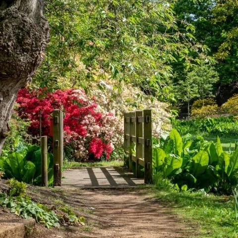 温莎小镇最新房价分析，最新价格汇总