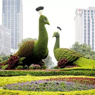 哈尔滨钢材价格走势分析,最新行情概述