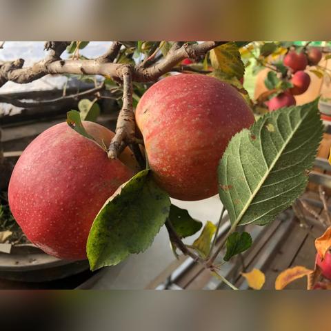 东胜最新新闻报道更新速递