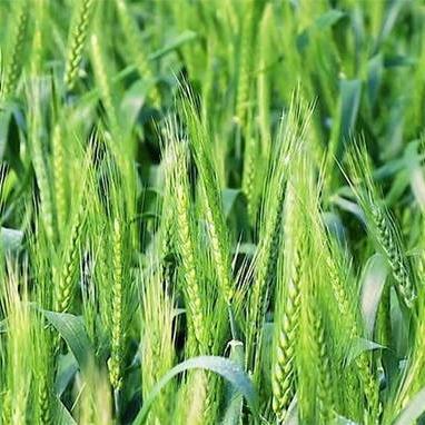 宁津最新新闻动态更新