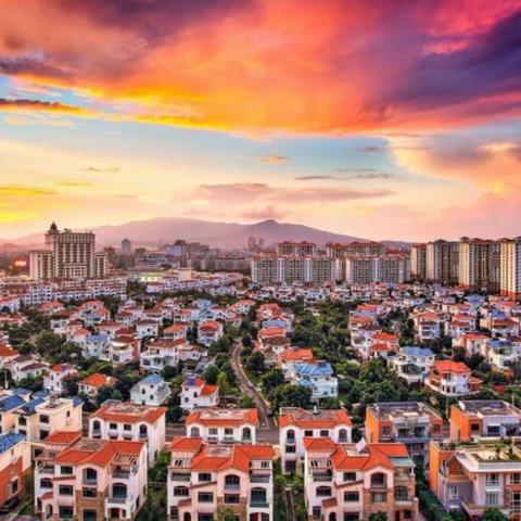 新会房价走势分析，最新趋势与预测