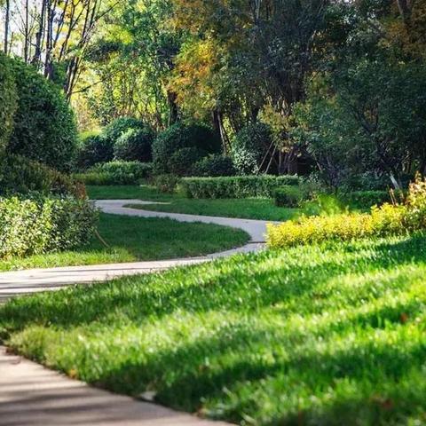 樟树最新楼盘，都市理想家园