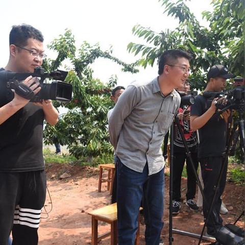 卢龙最新新闻动态更新