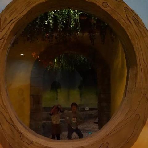 盛大开幕！2025年上海特卖盛宴，购物狂欢即将开启！