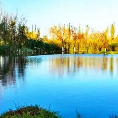 企业文化 第13页