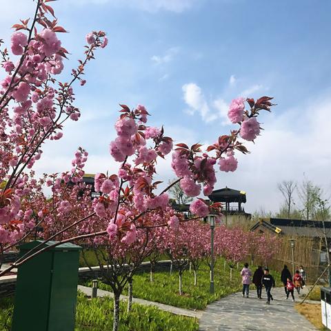 邳州最新租房信息更新，优质房源一览无余