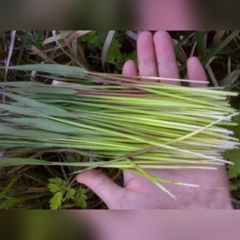 最新书法字库，重塑汉字魅力的艺术珍藏