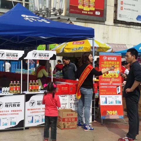 现代牧业革新动向，数字化与智能化引领行业前沿动态