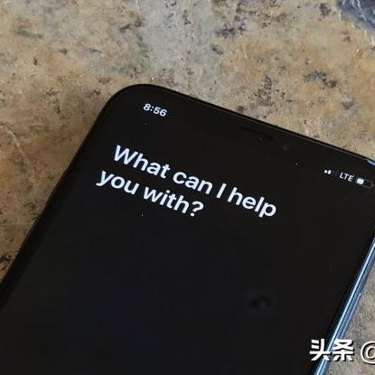 食盐改革最新暂停，深度分析与影响评估