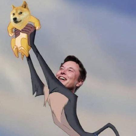 狗狗币最新动态报道（XXXX年XX月XX日）今日更新资讯