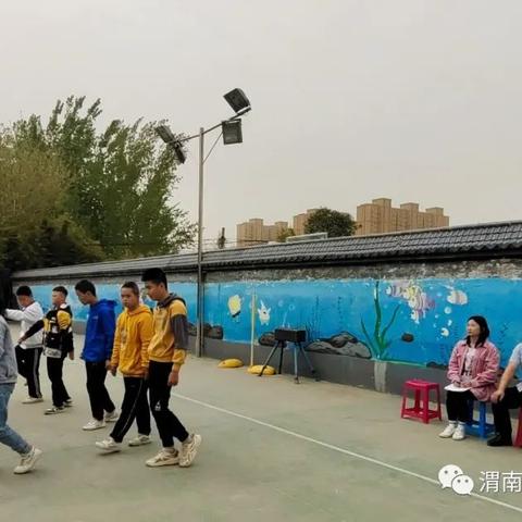 最新式渭南滚筒，技术革新典范，产业升级引领者