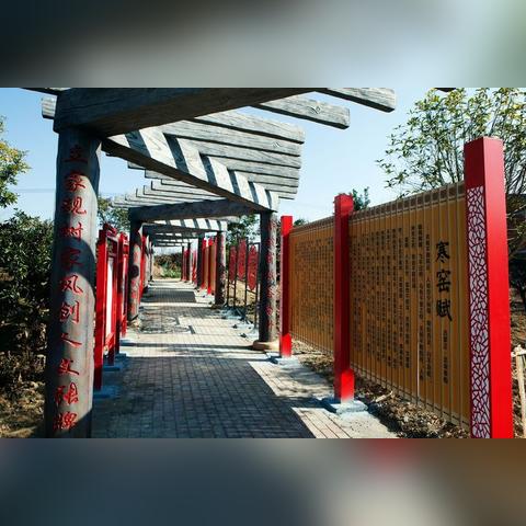 江涛最新歌曲，数字背后的音乐传奇