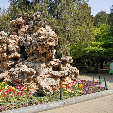 东单公园最新资讯，动态更新