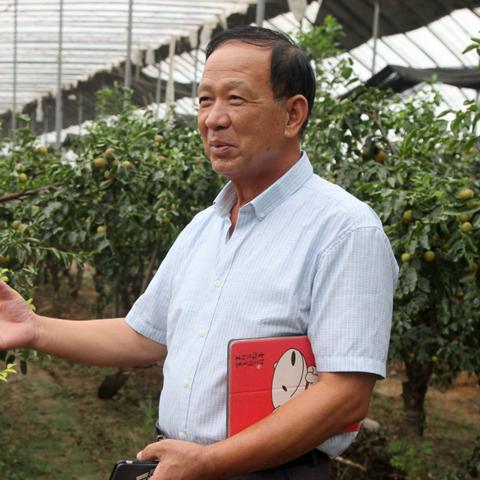 山西最新审定品种大揭秘，最新品种概览