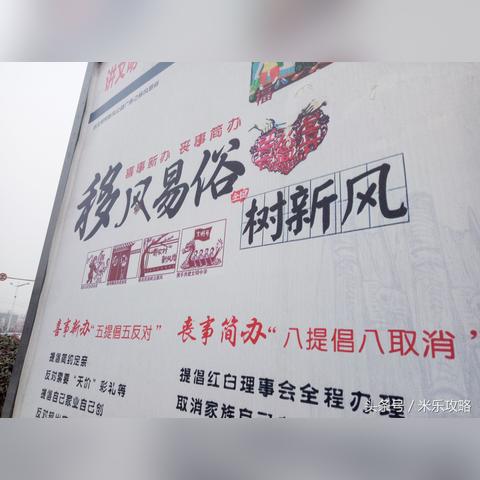 最新型花卉，科技与自然融合之美