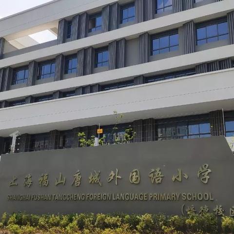 唐镇最新楼盘全面解析,最新楼盘介绍与特色解读